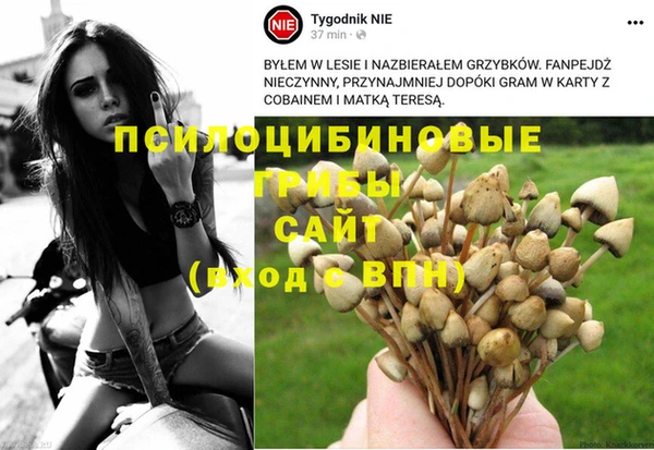 кокс Алзамай