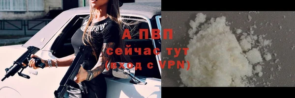 СК Алексин